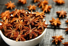 Redakan Nyeri dan Sakit Sendi dengan Bunga Lawang