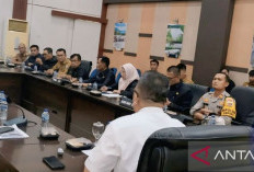 BKSDA Sumsel Cari Solusi Penanganan Gajah Liar