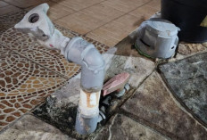 Banyuasin Buka Peluang Kerjasama Swasta  