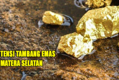 3 Kabupaten Menyimpan Kandungan Emas Terbesar di Sumatera Selatan :  Berikut Lokasi dan Luas Areal Tambang ! 