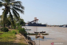 Galakkan Penebaran Benih Ikan di Sungai Musi