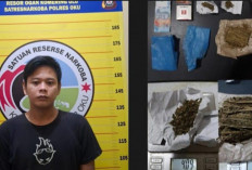 Jual Ganja, Warga Sekarjaya OKU Diciduk Polisi