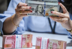 Update ! Kurs Rupiah 17 Oktober 2024 : Tergelincir 36 Poin Menjadi Rp15.546 per Dolar AS