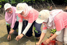PLN Terapkan Kesetaraan Gender dan Inklusifitas di Lingkungan Kerja 