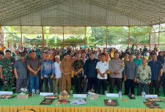 Ratusan Hektar Kebun Karet di Desa Jungai Tak Produktif Lagi 