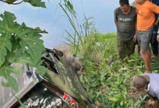 Toyota Avanza Bablas Masuk Jurang Sedalam 5 Meter : Begini Kondisi Sopir dan Penumpang !