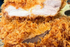 Chicken Katsu: Hidangan Lezat ala Jepang yang Digemari Banyak Orang