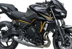 Evolusi Baru! Kawasaki Z650 S 2026 Tampil Lebih Agresif dengan Desain Sugomi Modern
