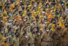  ASN Diingatkan Masuk Kerja Tepat Waktu : Ini Sanksi bagi ASN yang Melanggar !