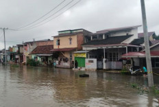 Banjir Kepung Palembang ! Hujan Semalaman Rendam Permukiman dan Jalan Utama