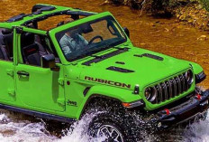 Review Lengkap Jeep Gladiator Rubicon: Dewa Lumpur dengan Gaya Sultan