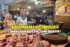 Harga Pangan 4 September 2024 : Daging Ayam Rp36.910, Cabai Tembus Rp50.010 per Kilogram !