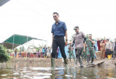 Banjir Air Sugihan, Bupati OKI Upayakan Perbaikan Pintu Air dan Normalisasi Sungai