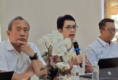 Pemerintah Perluas Uji Coba Digitalisasi Perlinsos ke 42 Kabupaten/Kota Mulai Juni 2026