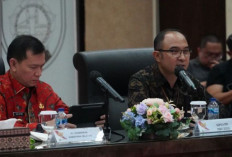 BPS Rilis Data Terbaru 2024 : 2 Kelompok Pengeluaran Penyumbang Deflasi Tertinggi di Sumatera Selatan !