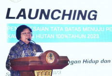 Pembangunan Pelabuhan New Port Tanjung Carat Segera Direalisasikan 