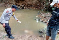 Dua Minggu Menghilang Warga Sindang Marga ditemukan Tinggal Tulang Belulang
