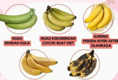 Kematangan Pisang : Manfaat Berbeda di Setiap Tahap