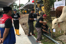 PEP Zona 4 Salurkan 112 Sapi dan 74 Kambing Kurban untuk Masyarakat di Wilayah Operasional