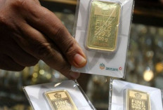 Harga Emas Antam 25 Februari 2025 : Naik Tipis Rp2.000 Sentuh Rp1,707 Juta per Gram !