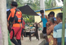Hari Ketiga Pencarian : Afifah, Bocah Malang yang Tenggelam di Sungai Kikim Akhirnya Ditemukan !