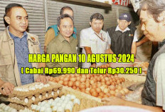 Harga Pangan 10 Agustus 2024 : Cabai dan Telur Mengalami Lonjakan Signifikan !