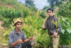 Jejak Bumi Indonesia Kampanyekan Gerakan Menanam Pohon Cegah Banjir