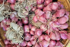 Atasi Bau Mulut dan Infeksi Gusi dengan Bawang Merah