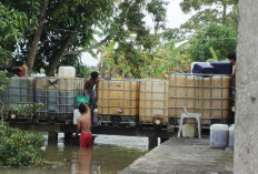HEBOH! Pekarangan SD di OKI Jadi Tempat Simpan Solar, Kepala Desa Terkesan Buang Badan