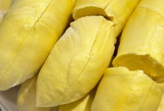 Mitos Tentang Buah Durian: Fakta atau Hanya Isu Semata?