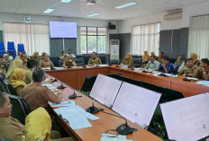   Pastikan Honorer Ikut Seleksi PPPK Tahap II Tetap Terima Gaji