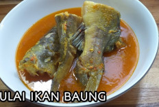 Gulai Ikan Baung, Kuliner Khas Sumatra yang Kaya Rasa dan Nilai Budaya