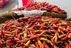 Harga Pangan 15 Agustus 2025: Cabai Rawit Rp46.934, Bawang Merah Rp48.751 per Kilogram !