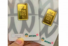 Harga Emas Antam 1 Februari 2025 : Naik Lagi Rp4000  per Gram menjadi Rp1.624.000 per Gram