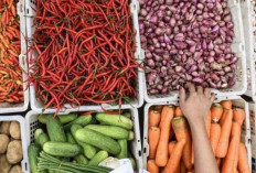  Harga Pangan 2 Oktober 2024 : Bawang Merah Turun Menjadi Rp28.180 per Kilogram !