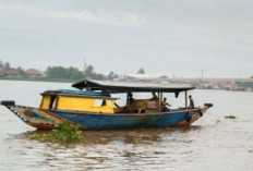 Polda Sumsel Peringatkan Ancaman Buaya Banyuasin
