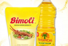 Dari Sawit hingga Zaitun, Ini Ragam Minyak yang Umum Digunakan untuk Memasak