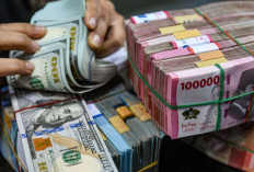 Update ! Kurs Rupiah 20 Agustus 2024 : Menguat 56 Poin Menjadi Rp15.550 per Dolar AS 