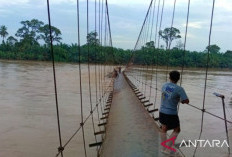 BPBD Bantu Warga Seberangi Jembatan Putus Akibat Banjir  