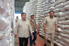 Presiden Prabowo Subianto Sidak Gudang Perum Bulog Pastikan Stok Beras Aman