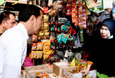 Presiden Jokowi Blusukan di Pasar Sekip Ujung Palembang, Ini Hasil Temuannya !