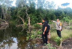 Diserang Buaya Saat Cari Rumput, Warga Musi Rawas Nyaris Meregang Nyawa