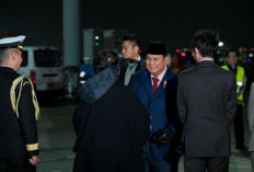 Prabowo ke Tokyo Perkuat Investasi dan Kerja Sama Strategis Indonesia Jepang