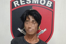 Curi Lampu Sorot PLTU Keban Agung, Warga OKU Diciduk Polisi