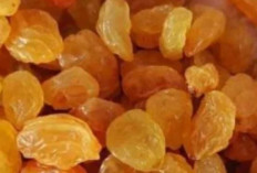 Apa Itu Kismis? Camilan Kecil dengan Kandungan Gizi yang Tak Sepele