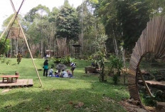 Sihir Bukit Cogong: Surga Tersembunyi di Musi Rawas yang Tawarkan Keindahan Alam,  dan Sensasi Camping !
