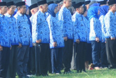 Jelang Pilkada 2024 : ASN Diingatkan Bijak Gunakan Medsos !