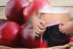 Keseruan Diet Sehat dengan Apel: Kenali Kandungan Serat dan Nutrisinya