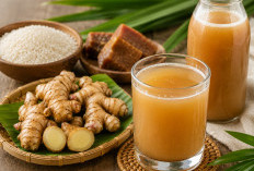Jamu Beras Kencur: Warisan Herbal Nusantara yang Kaya Manfaat, Begini Cara Membuatnya Sendiri di Rumah