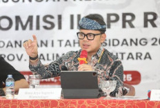 Wamendagri Jamin TKD Aman untuk Layanan Publik